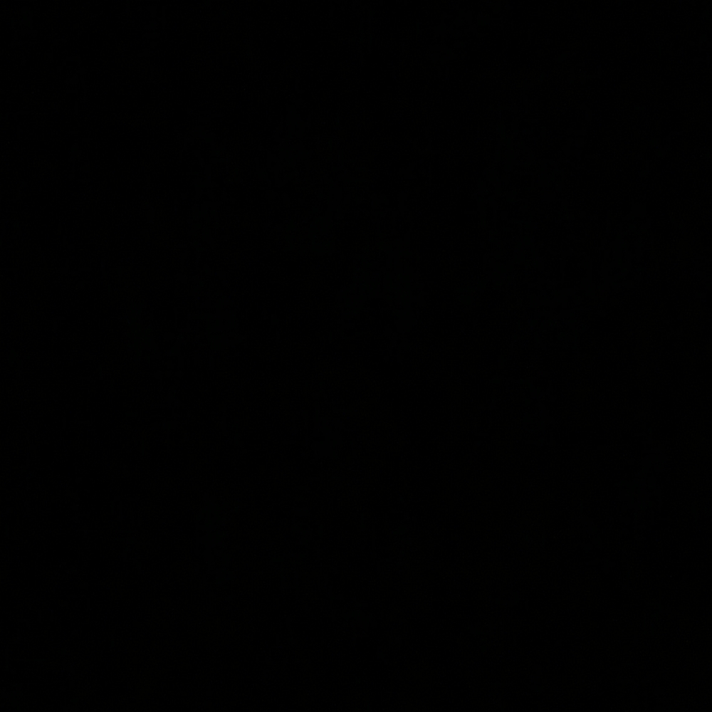 Whole closet clean out